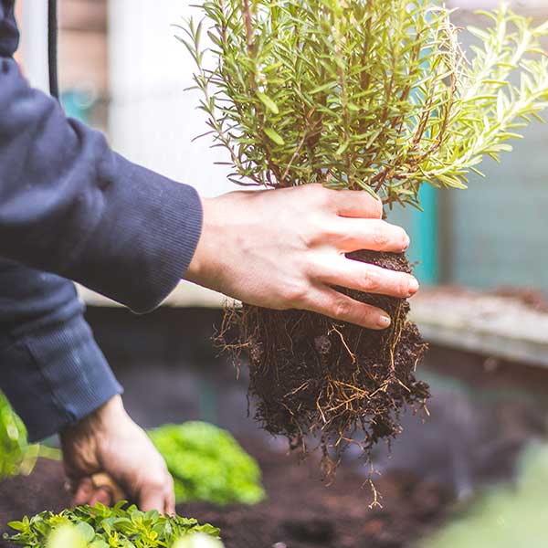 jardinage-urbain-hydromaxplus